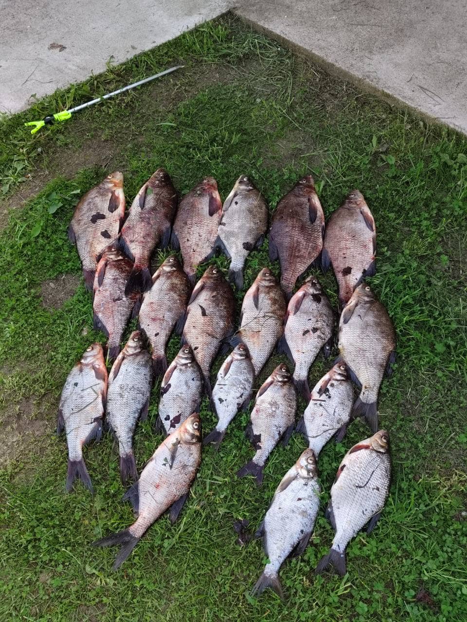 Рыбалка